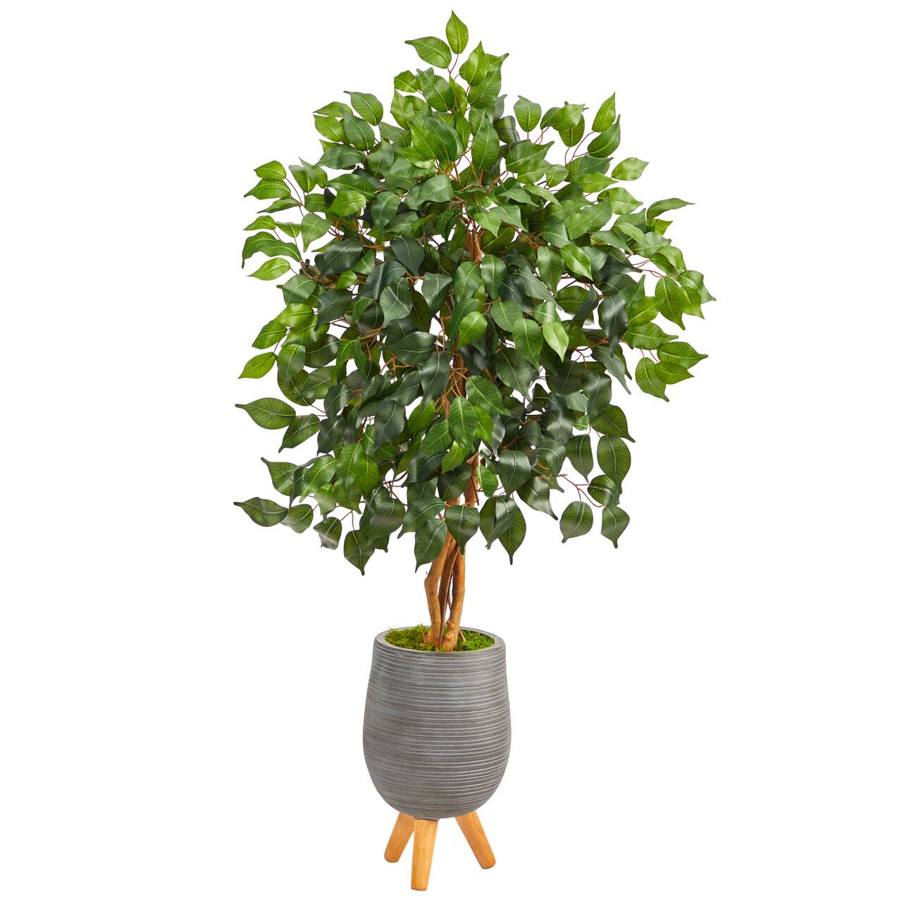 4ft. Ficus Tree in Gray Planter with Stand